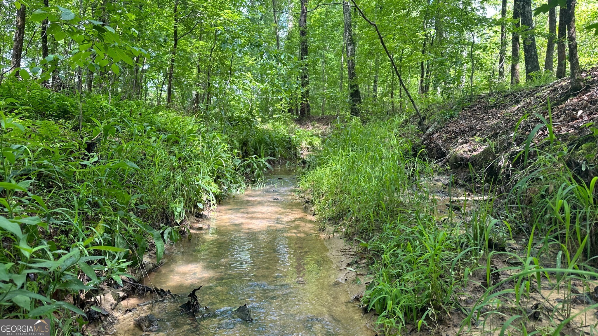 0 Center Hill Road Property Photo 1