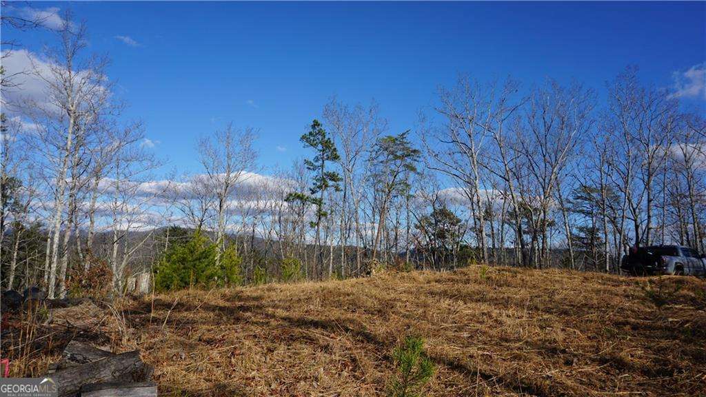 0 Muscadine Lane Property Photo 1