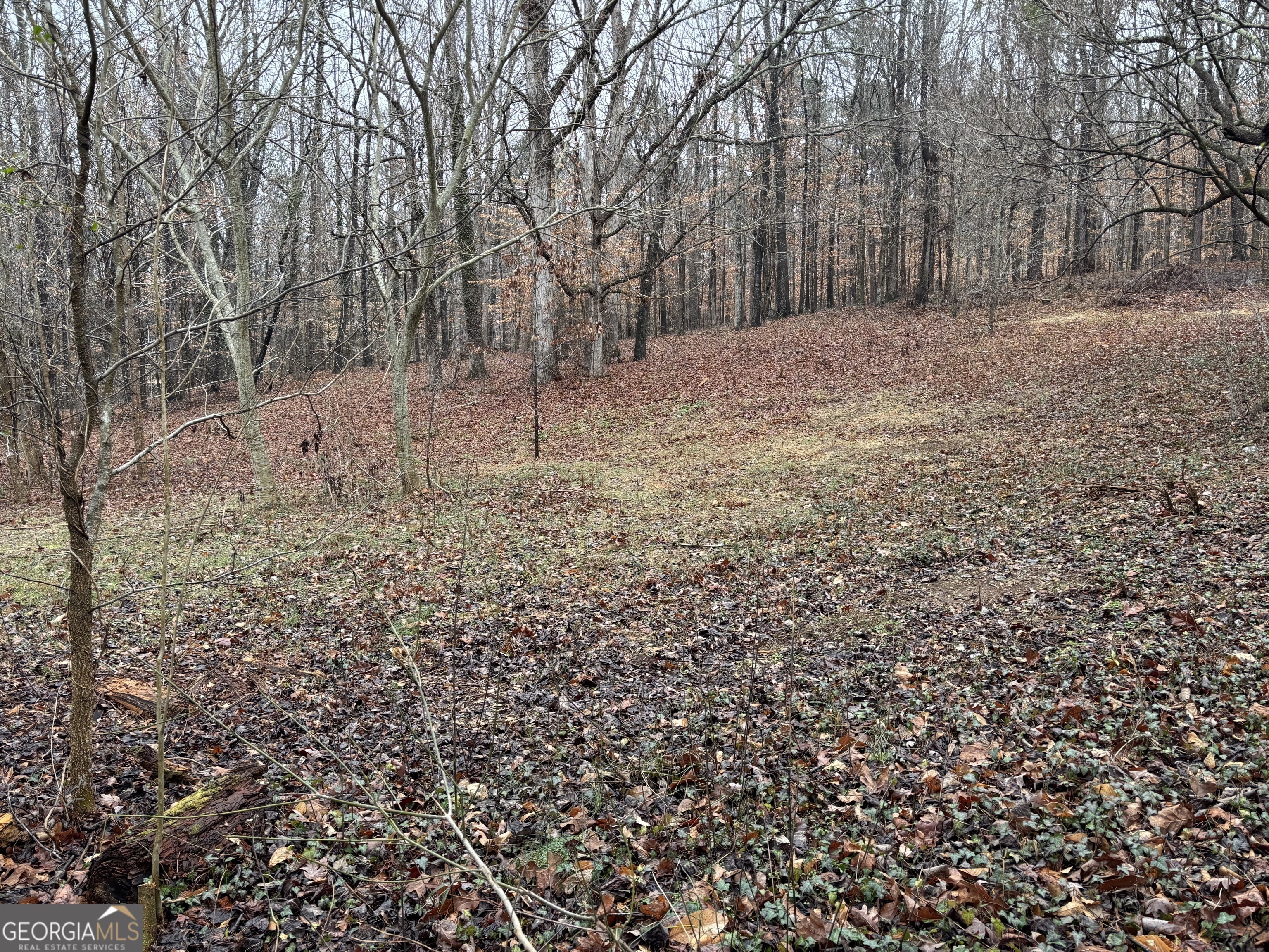 0 Lebanon Church Road Property Photo 1