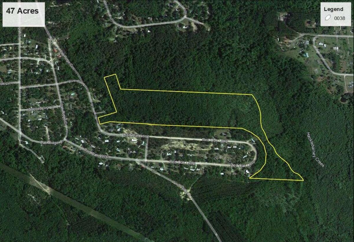 47 +/- Acres Live Oak Lane Property Photo 1