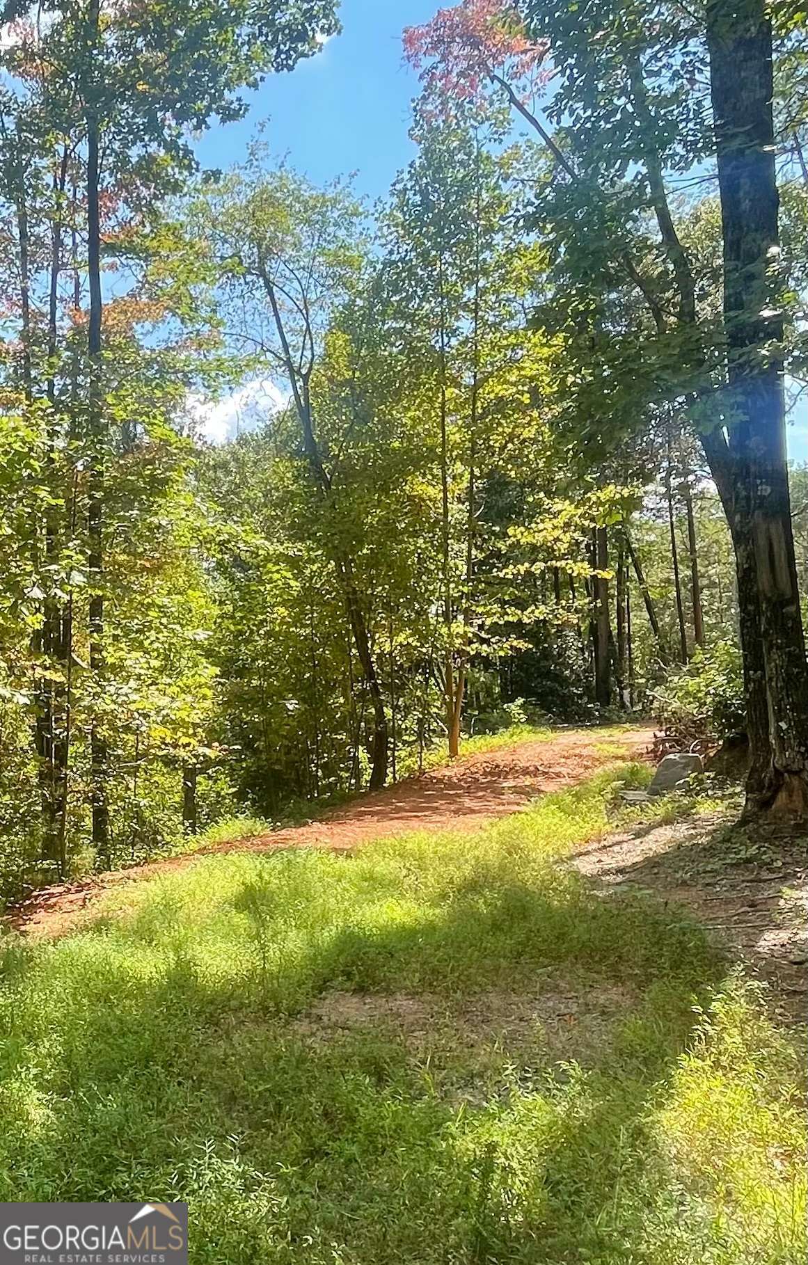 0 Chimney Mountain Road Property Photo 1