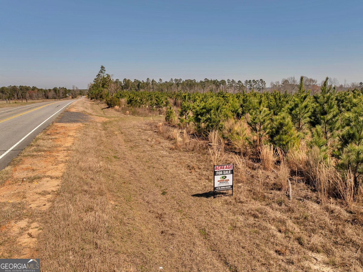0 Ga Highway 319