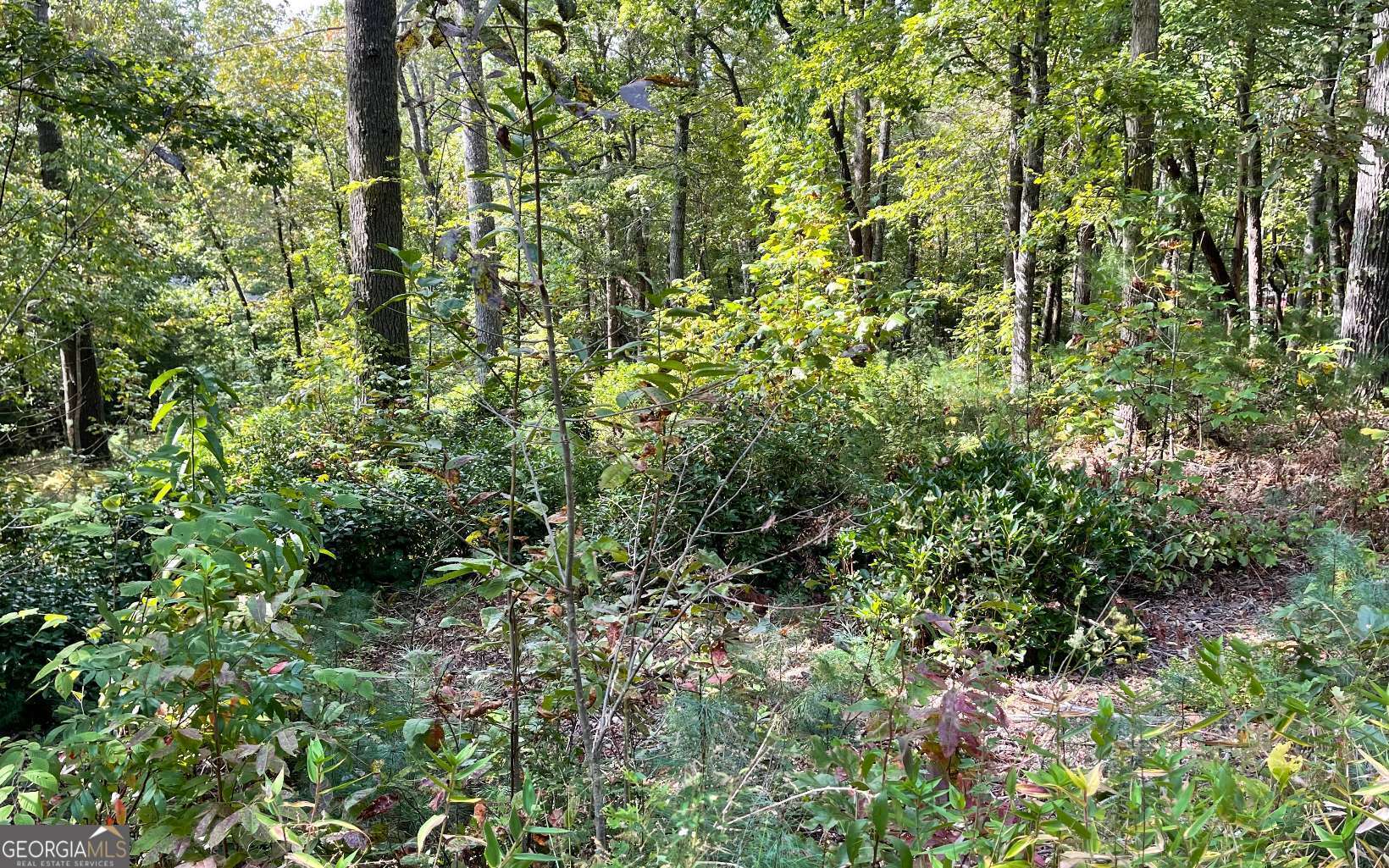 Lot E Timber Ridge Property Photo 1