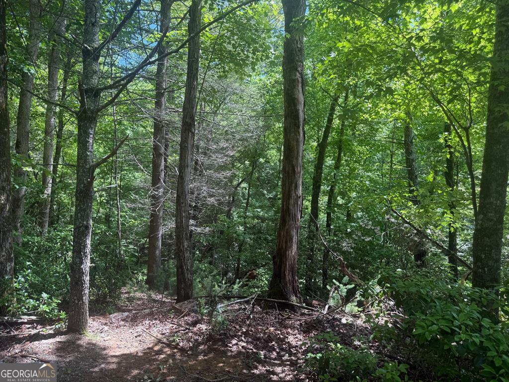 LOT 68 Hunters Path