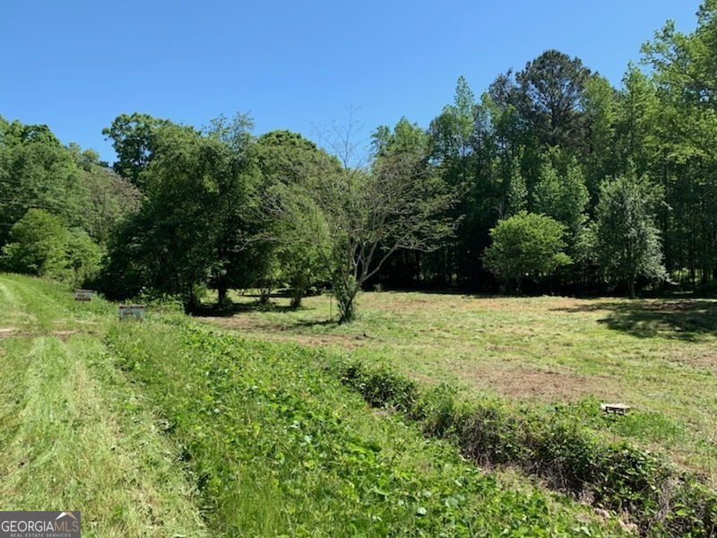 4932 Lower Jersey Road Property Photo 1