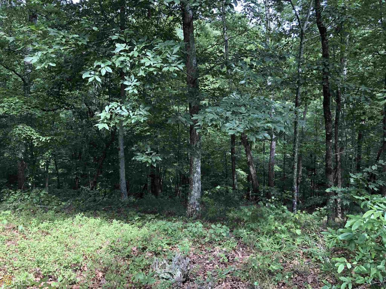 0 Forked Leaf Road # 35 Property Photo 2