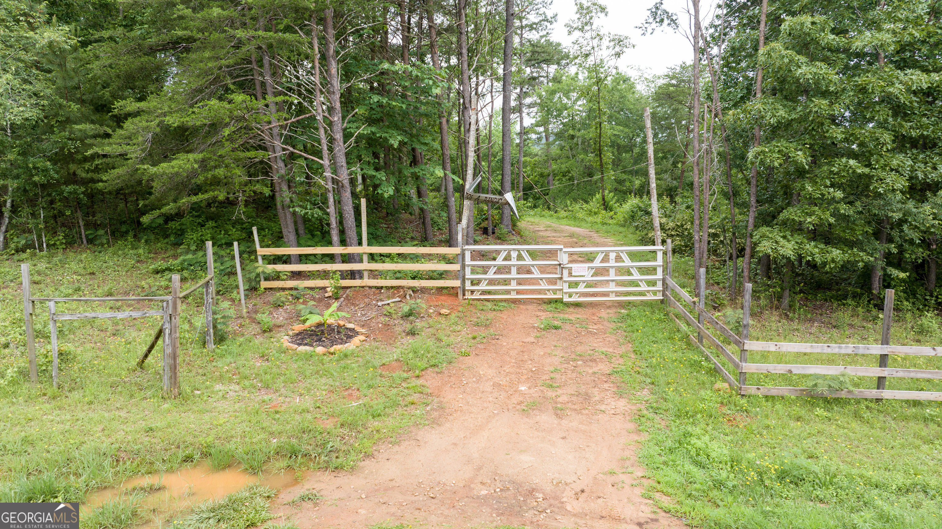 0 E Silver Shoals Road Property Photo 1
