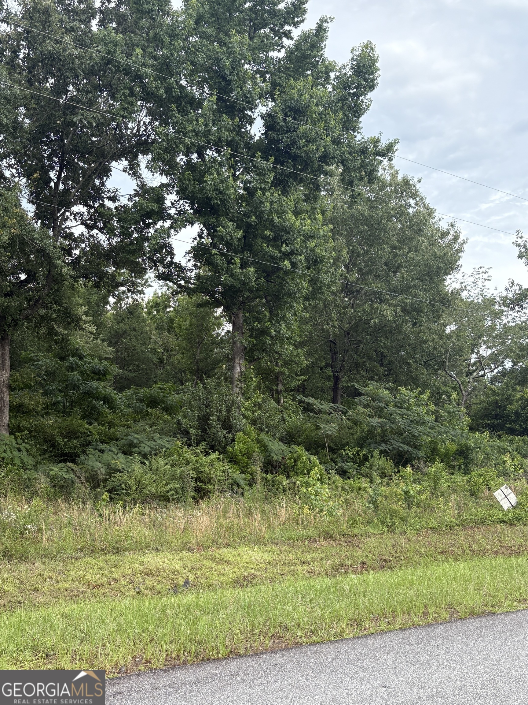 0 Stoney Ridge Property Photo 1