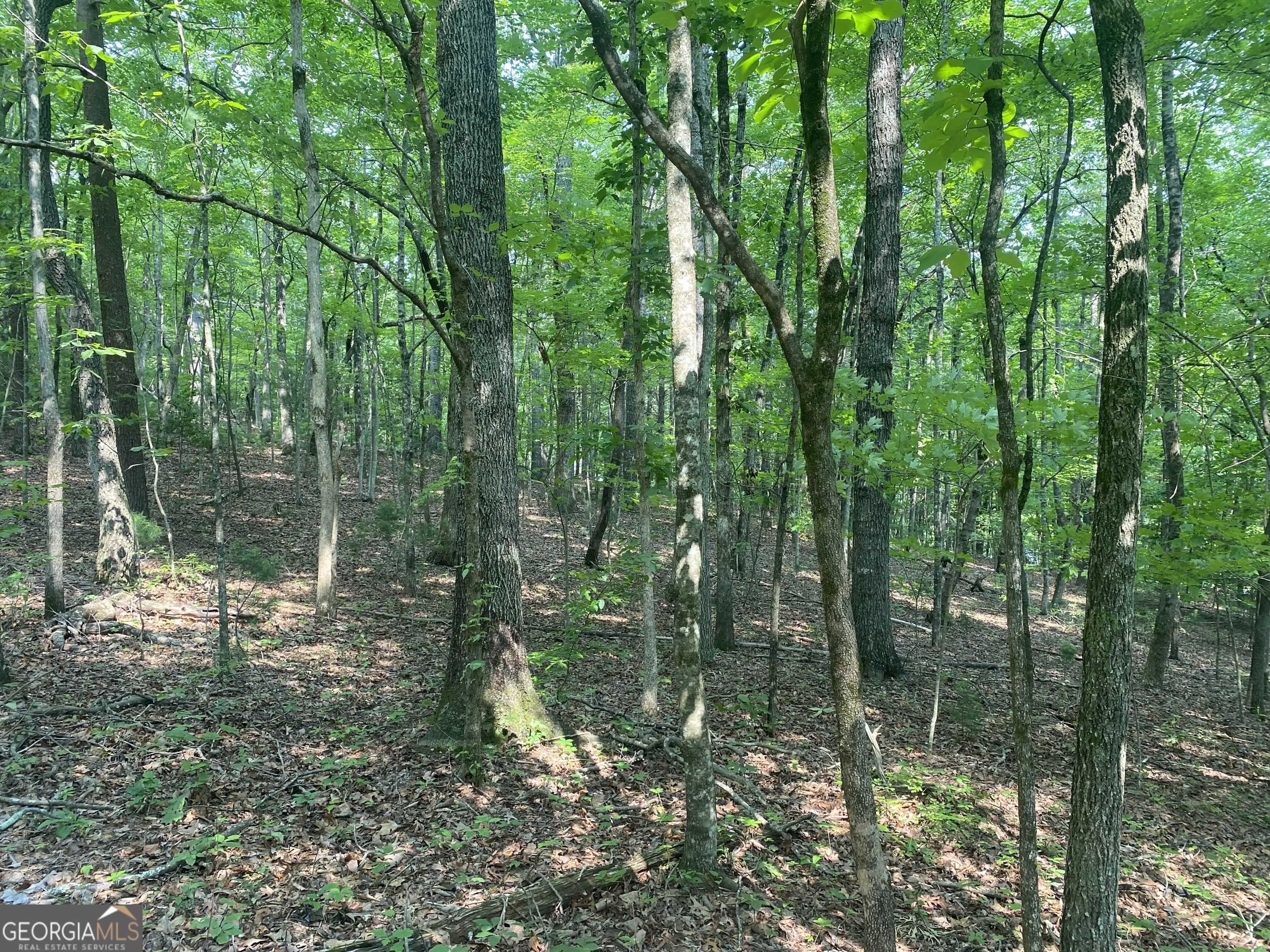 Lt 51 Property Photo 1