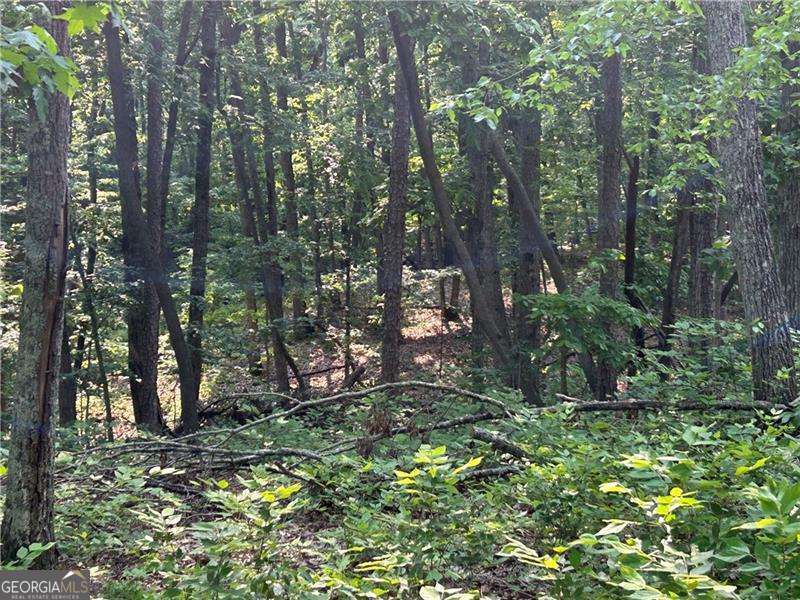 873 Pleasant Union Road Property Photo 1