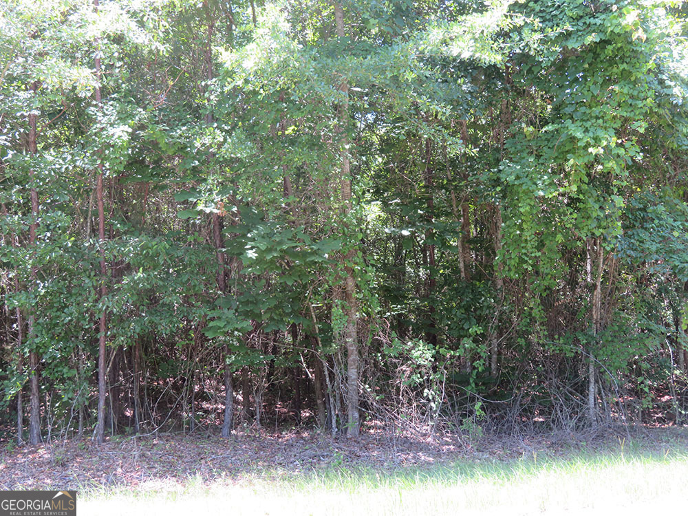 B 1 Cool Branch Road Property Photo 2