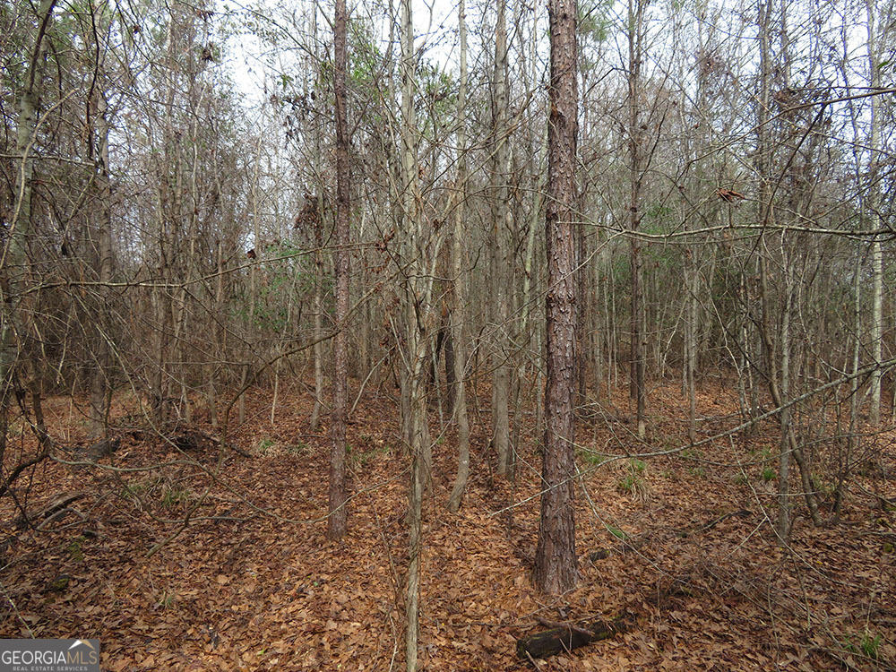 B 1 Cool Branch Road Property Photo 5