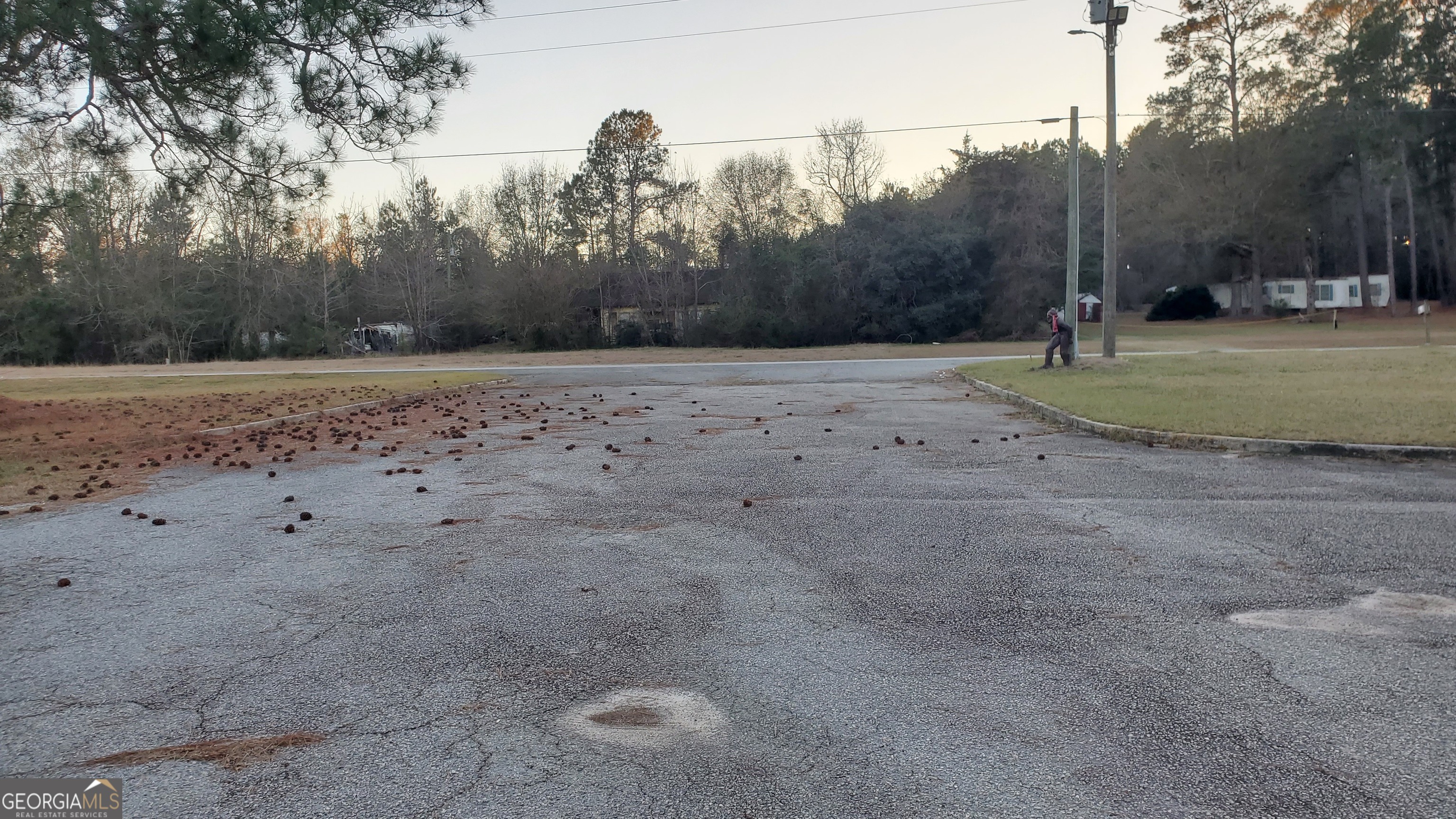 10328 Ga Highway 29 Property Photo 4