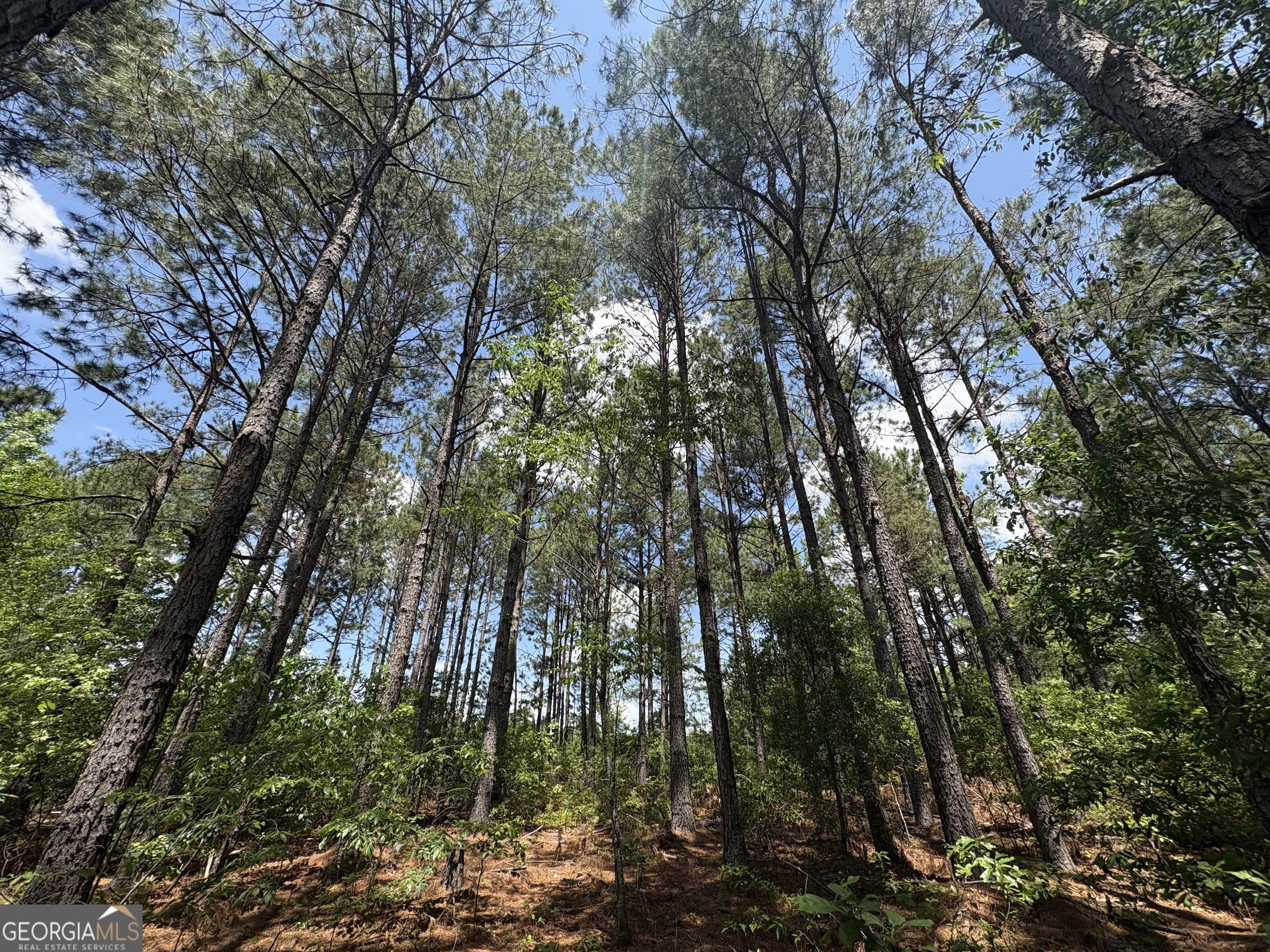 850 Buttermilk Road Property Photo 1