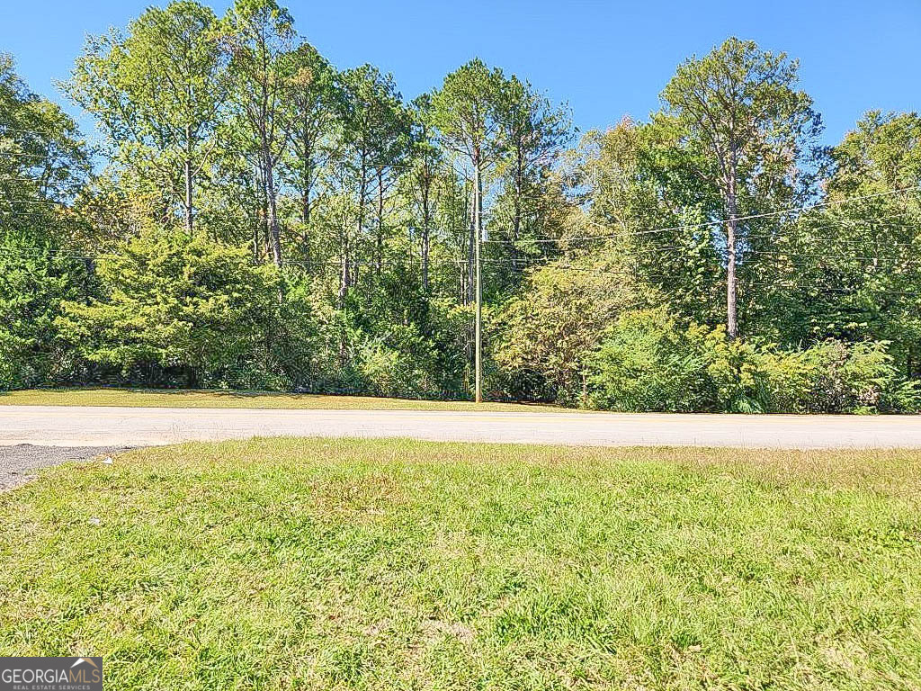 797 Gabbettville Road Property Photo 15