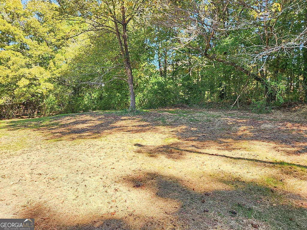 797 Gabbettville Road Property Photo 16