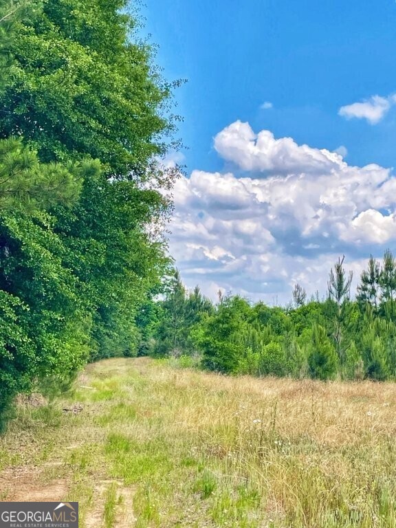 0 S Highway 49 Property Photo 1
