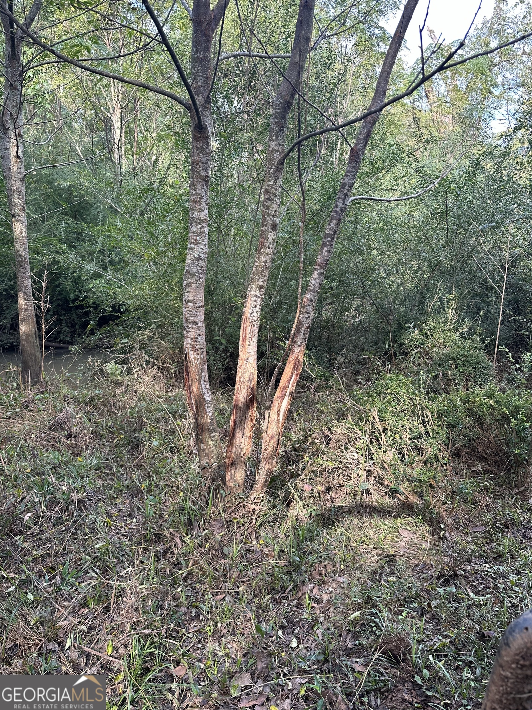 0 Seven Islands Road Property Photo 1