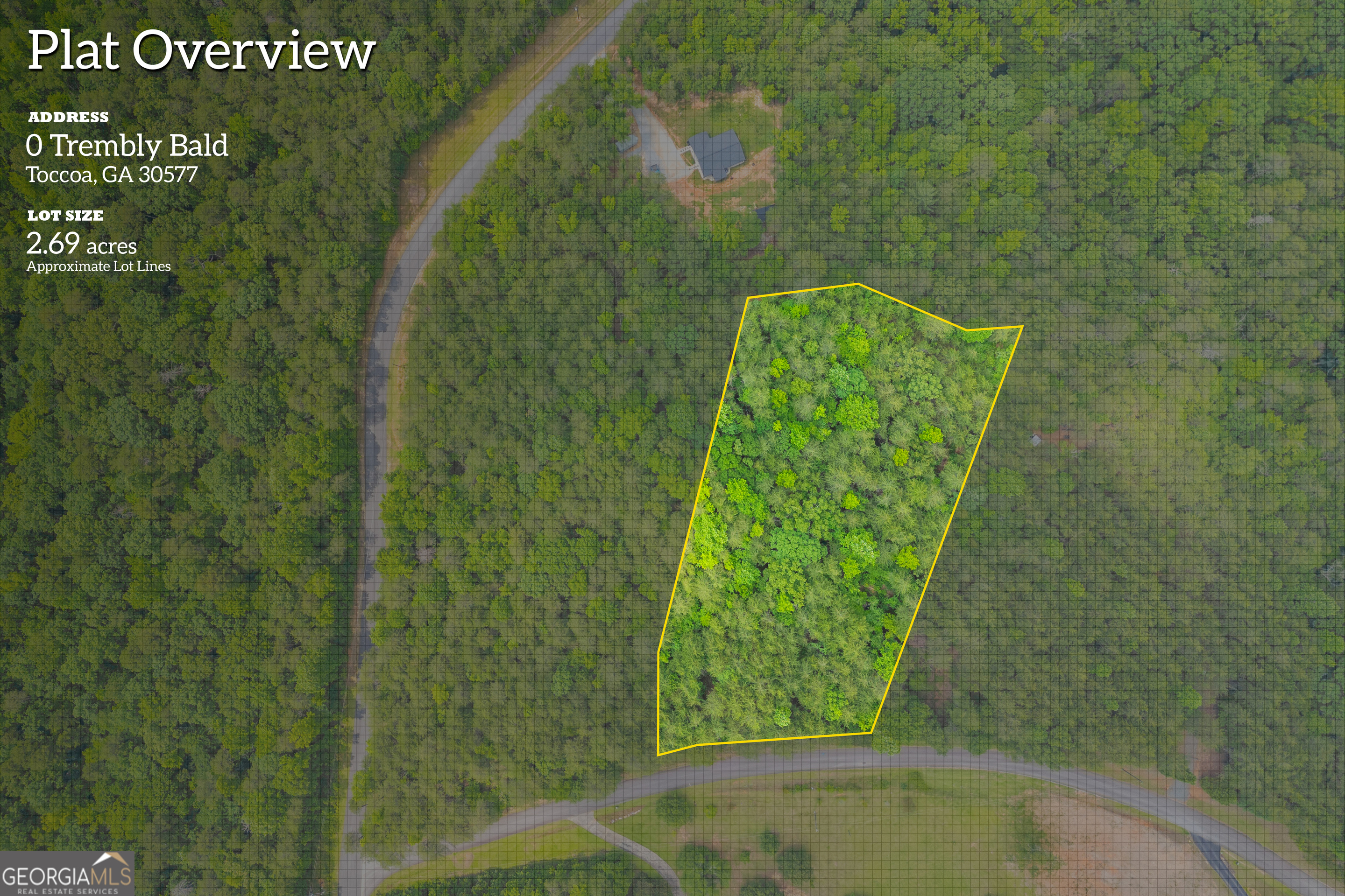 0 Trembly Bald Road Property Photo 1