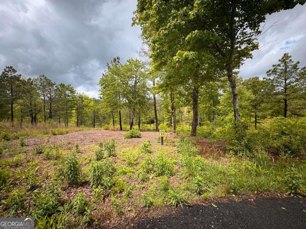 35 Arbor Creek Property Photo 1