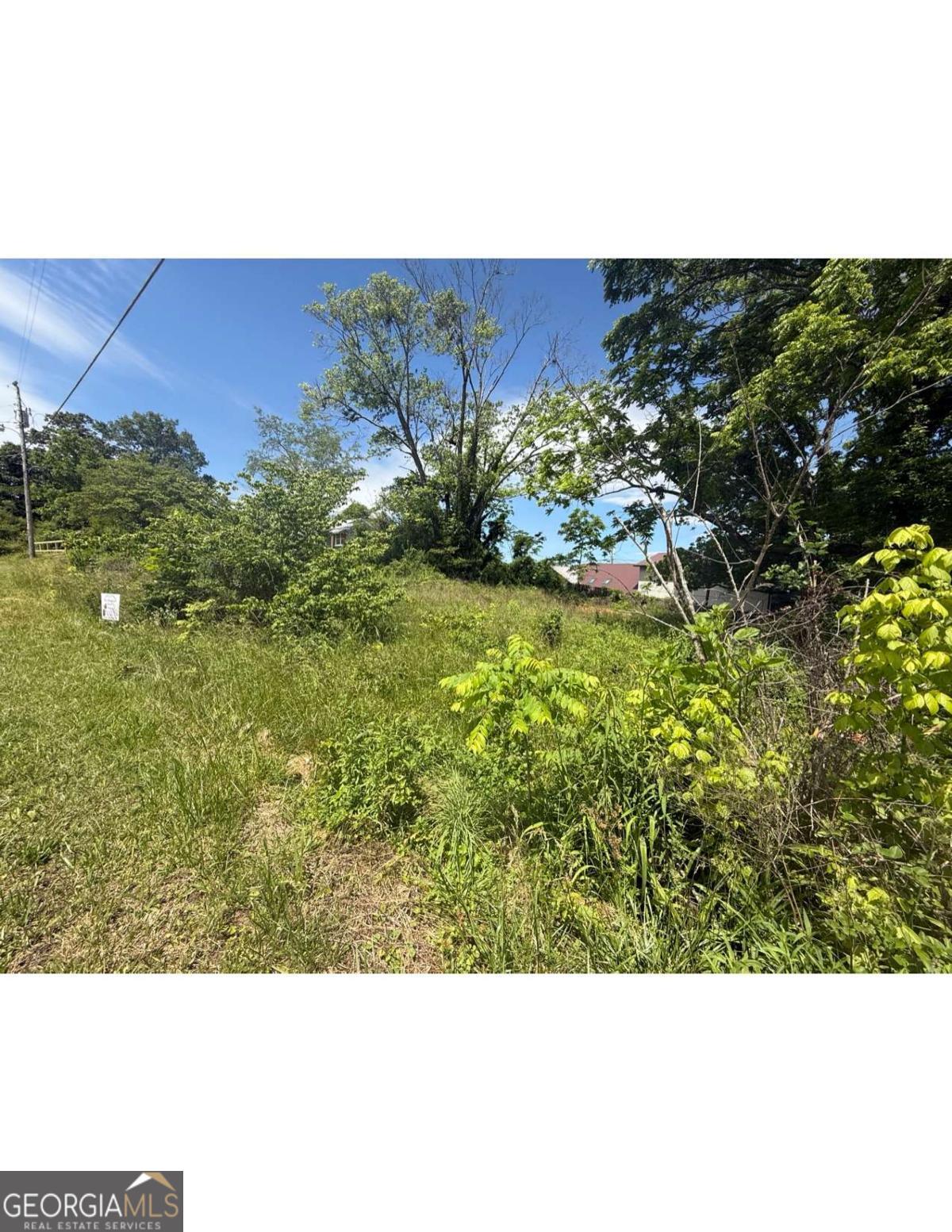 Lot 19 E Second Street Property Photo 1