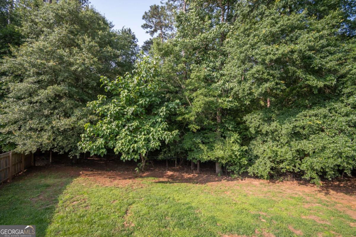 351 Hampton Park Drive Property Photo 69