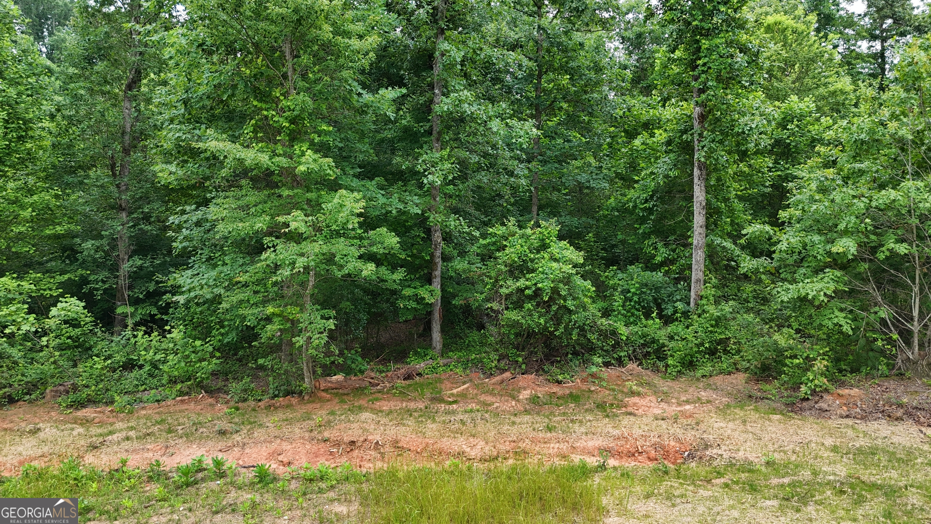 2.4 Acres Garrison Road Property Photo 1