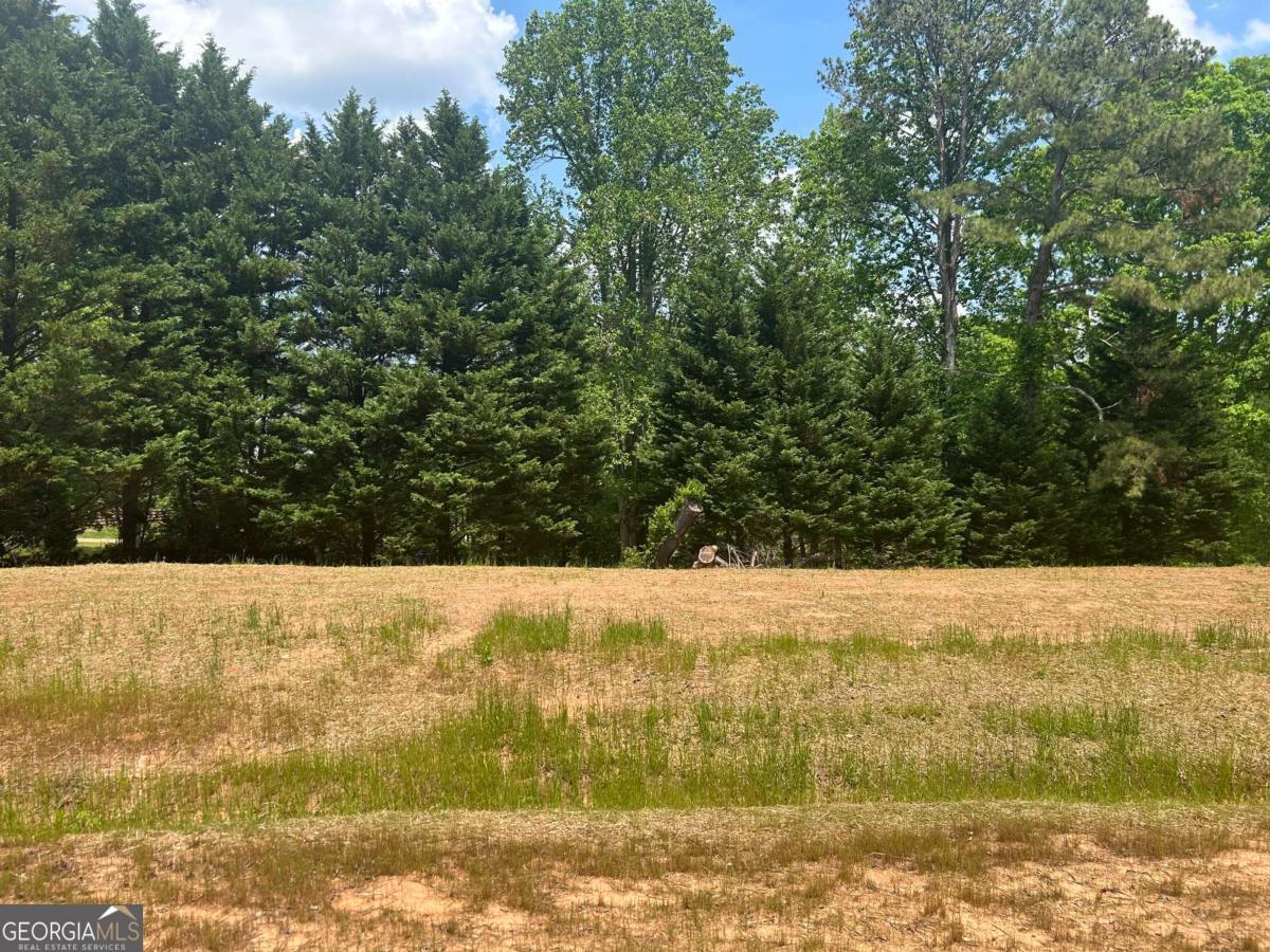 210 Thompson Trail Property Photo 1