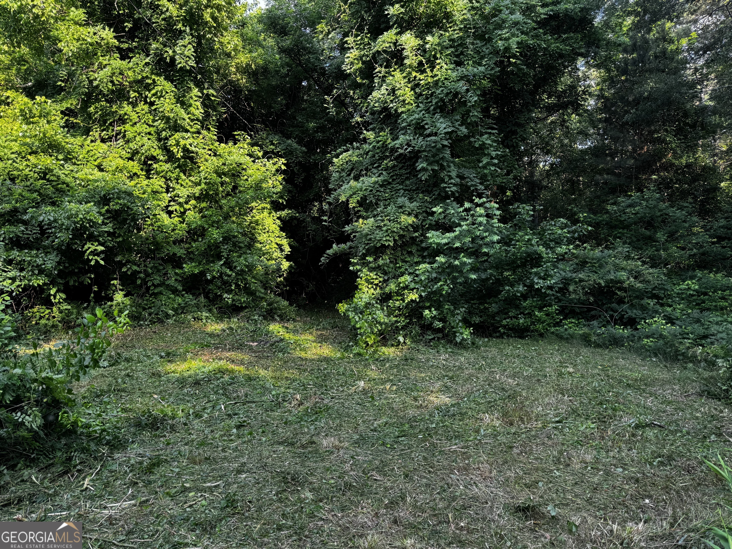 2070 Dooley Town Road Property Photo 1