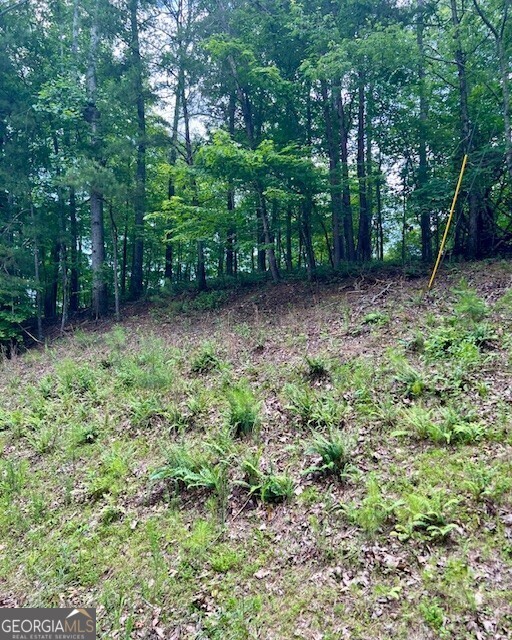133 Adair Drive Ne Property Photo 5