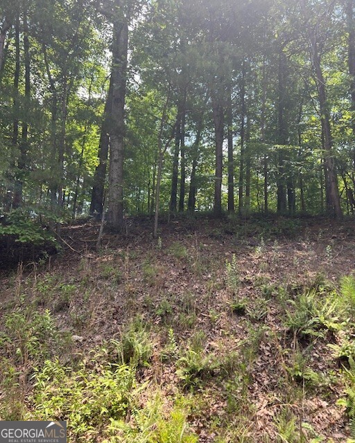 133 Adair Drive Ne Property Photo 6