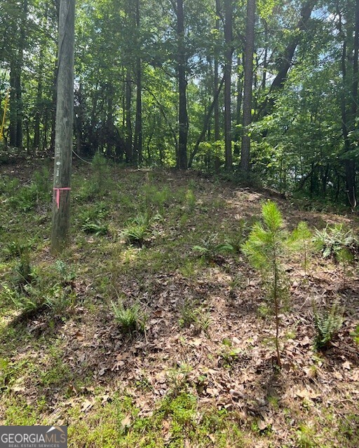 133 Adair Drive Ne Property Photo 9
