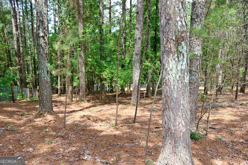 3129 Etchison Road Property Photo 53