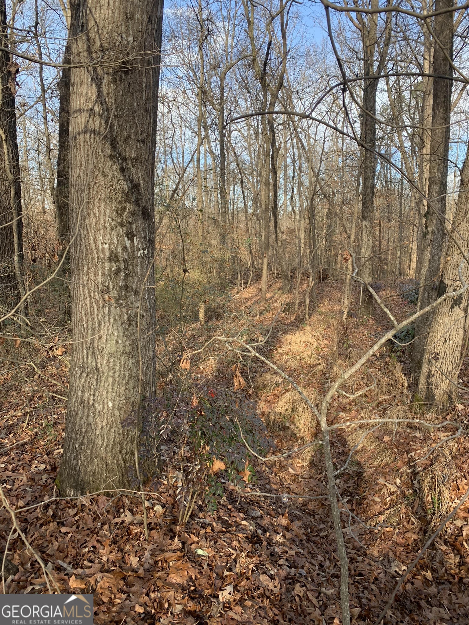 0 S Tanglewood Drive Property Photo 1