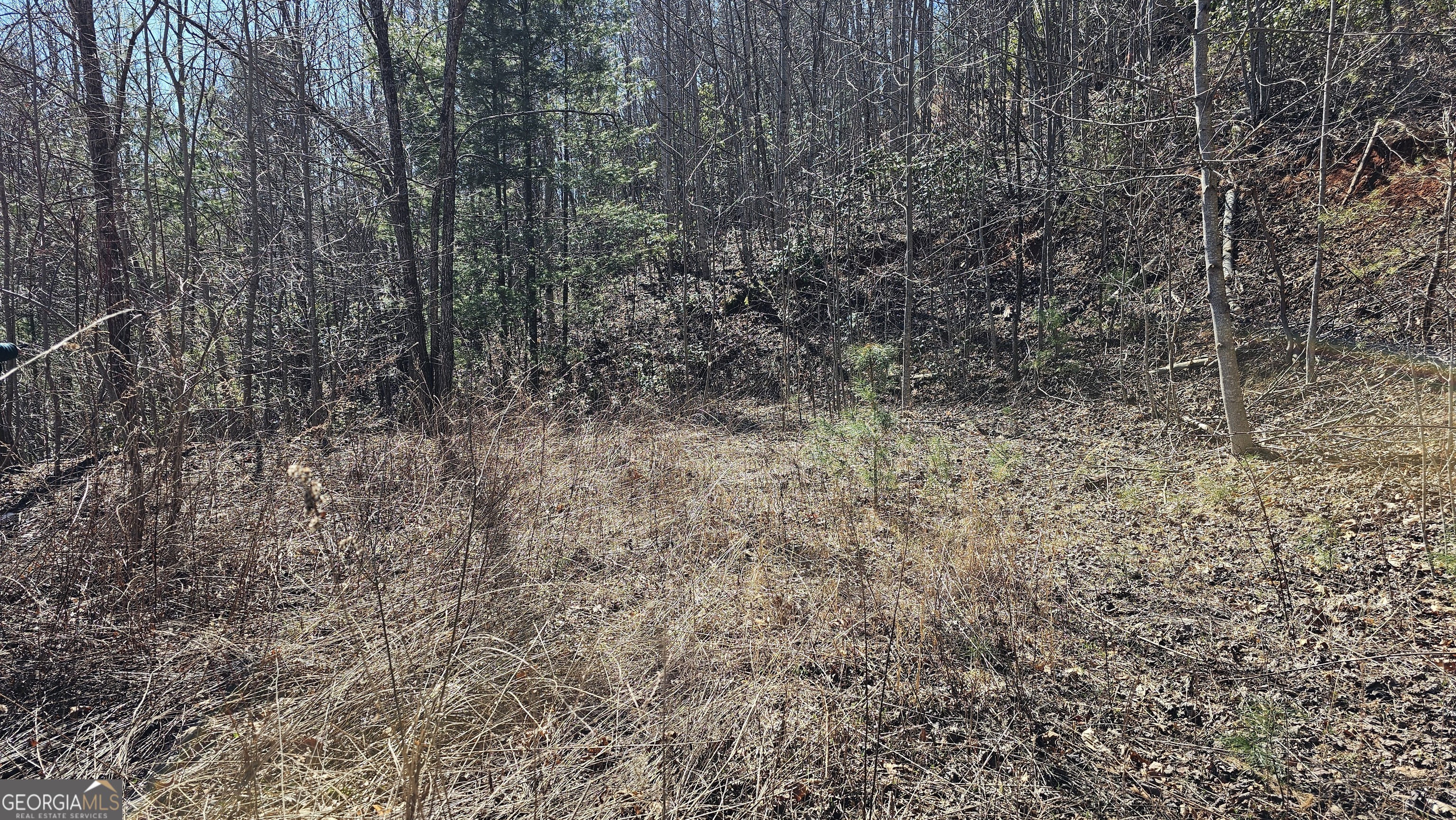 0 Saddleback Circle Property Photo 3