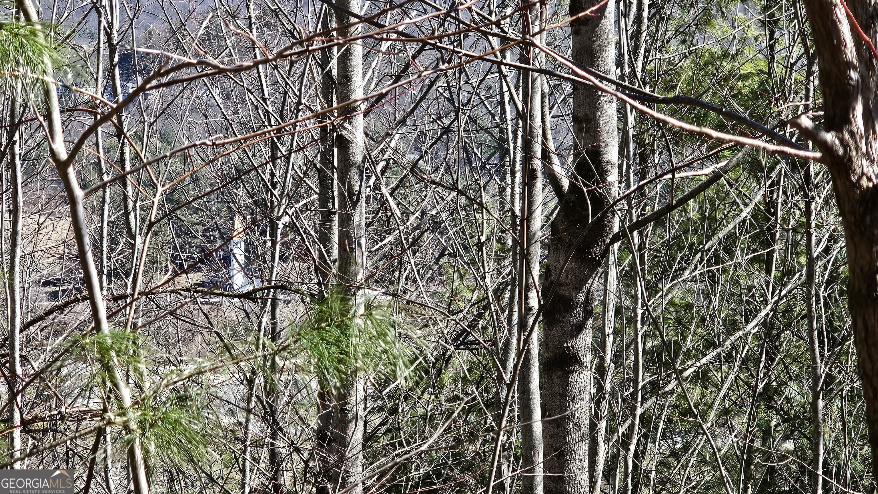 0 Saddleback Circle Property Photo 5