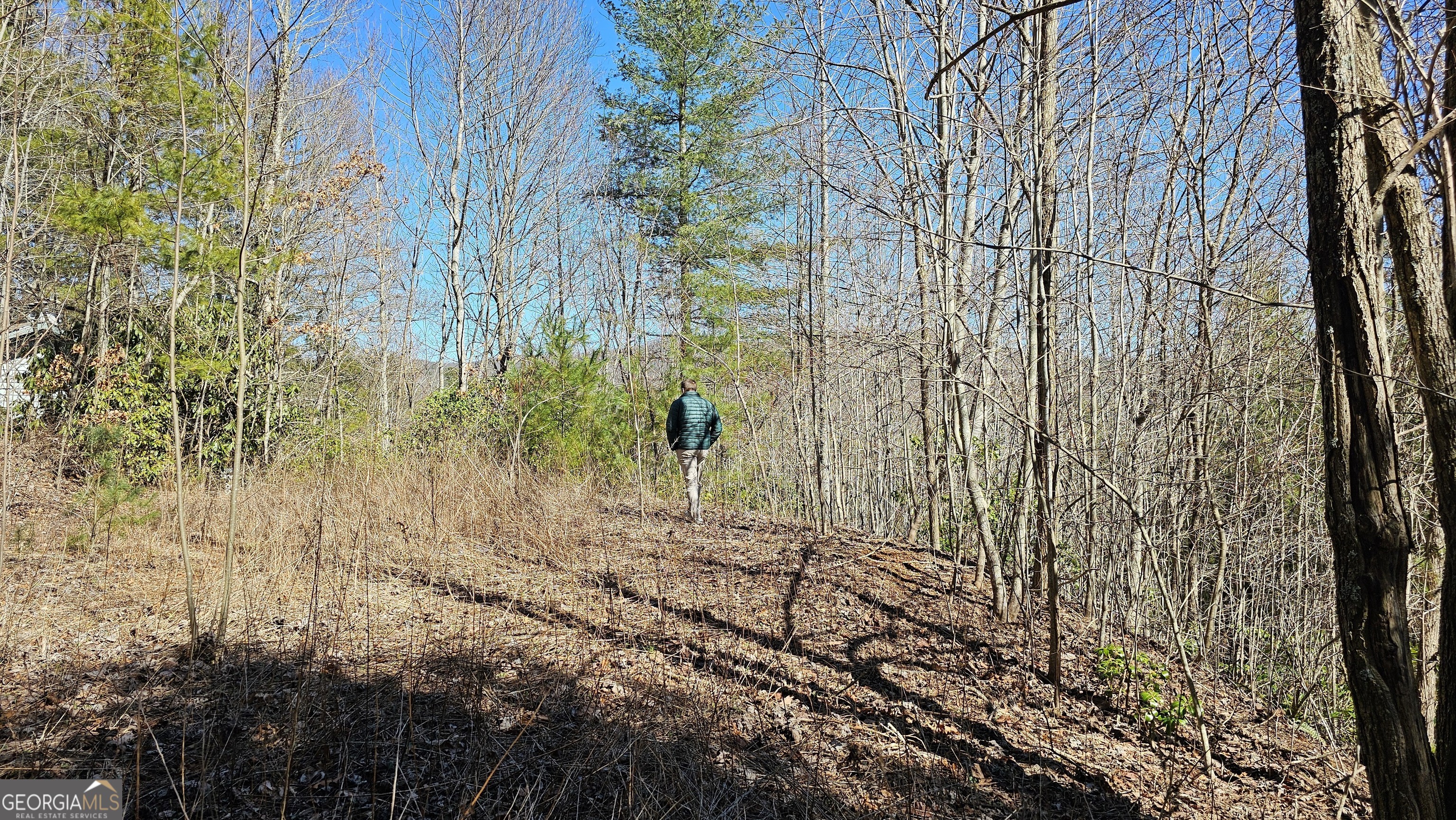 0 Saddleback Circle Property Photo 6