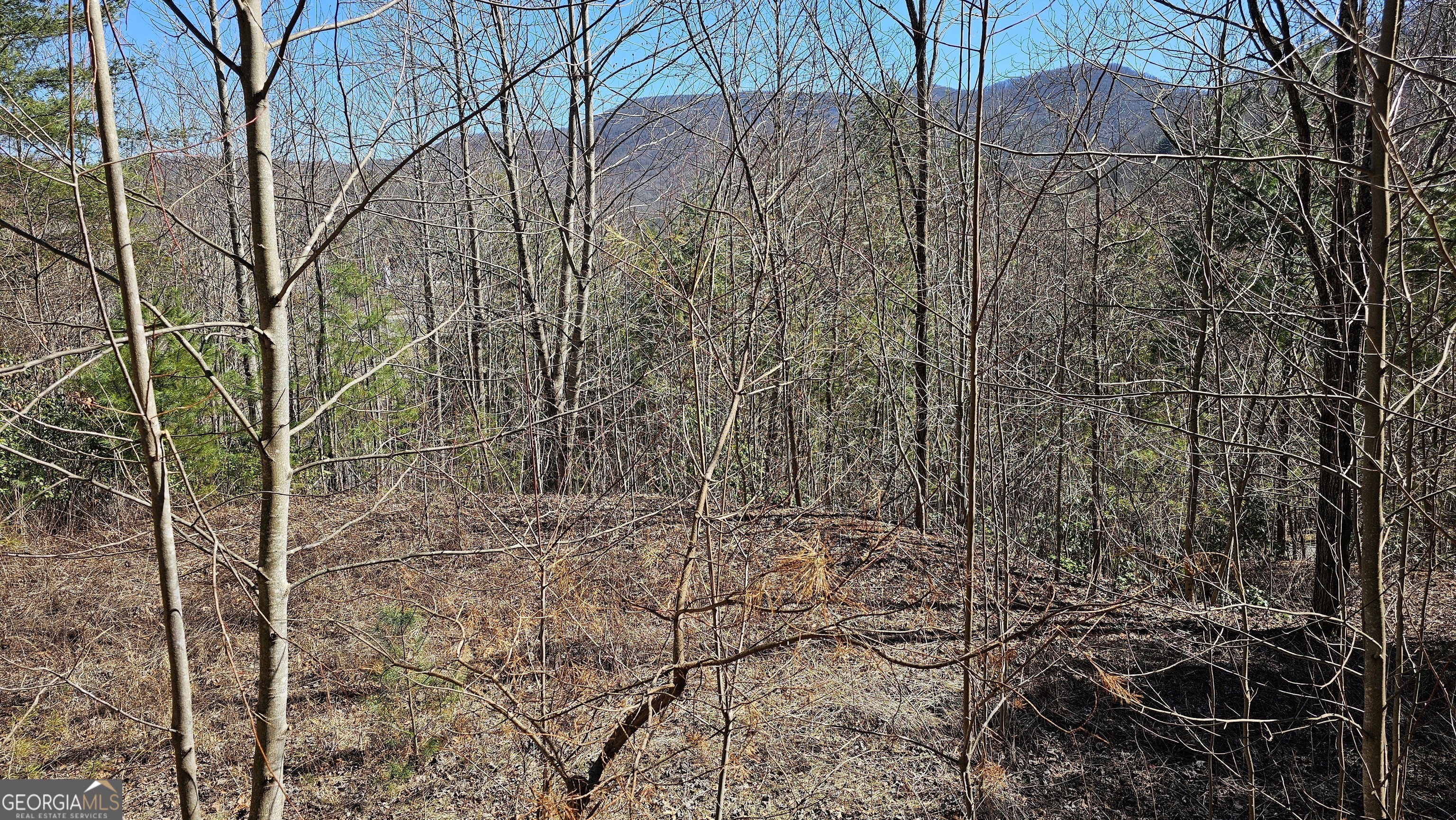 0 Saddleback Circle Property Photo 9