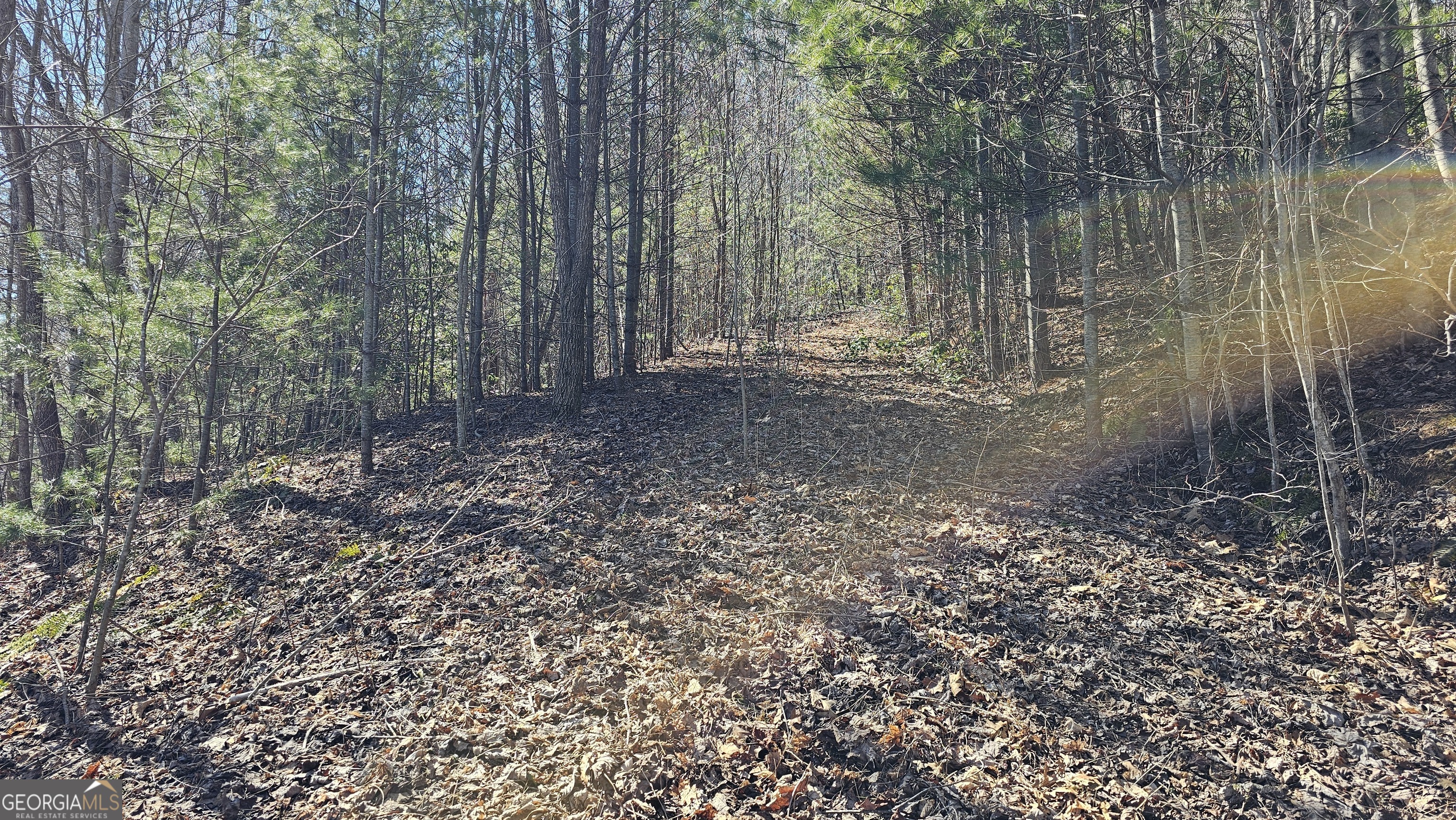 0 Saddleback Circle Property Photo 11