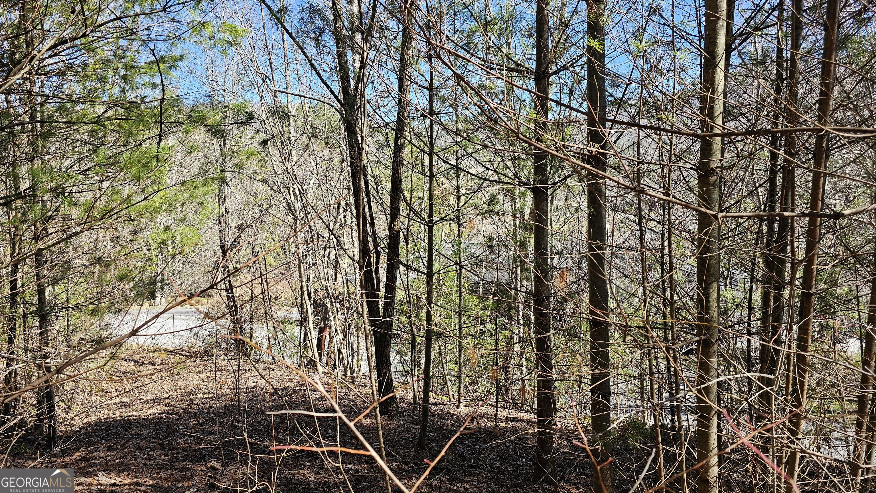 0 Saddleback Circle Property Photo 12