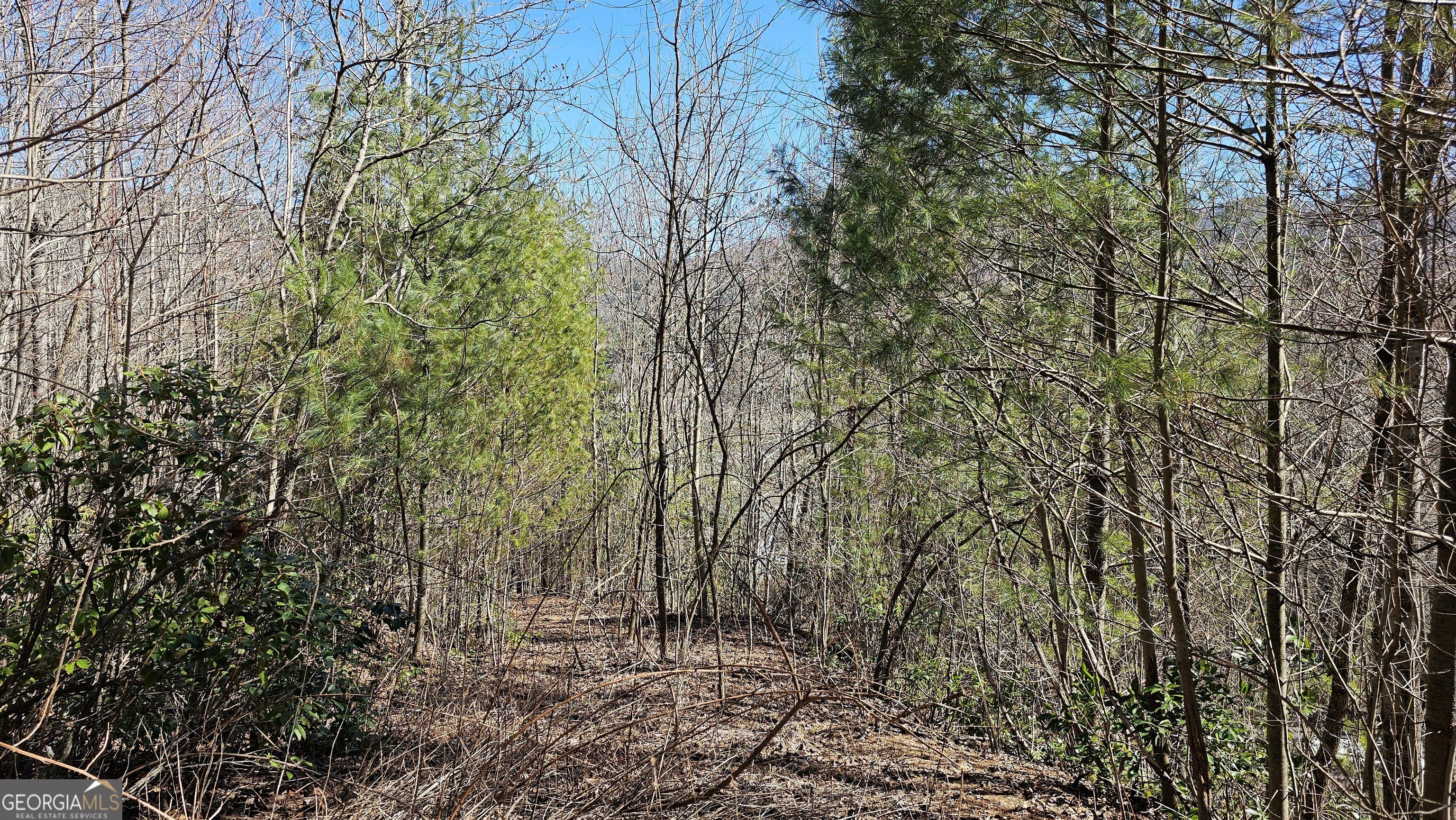 0 Saddleback Circle Property Photo 13