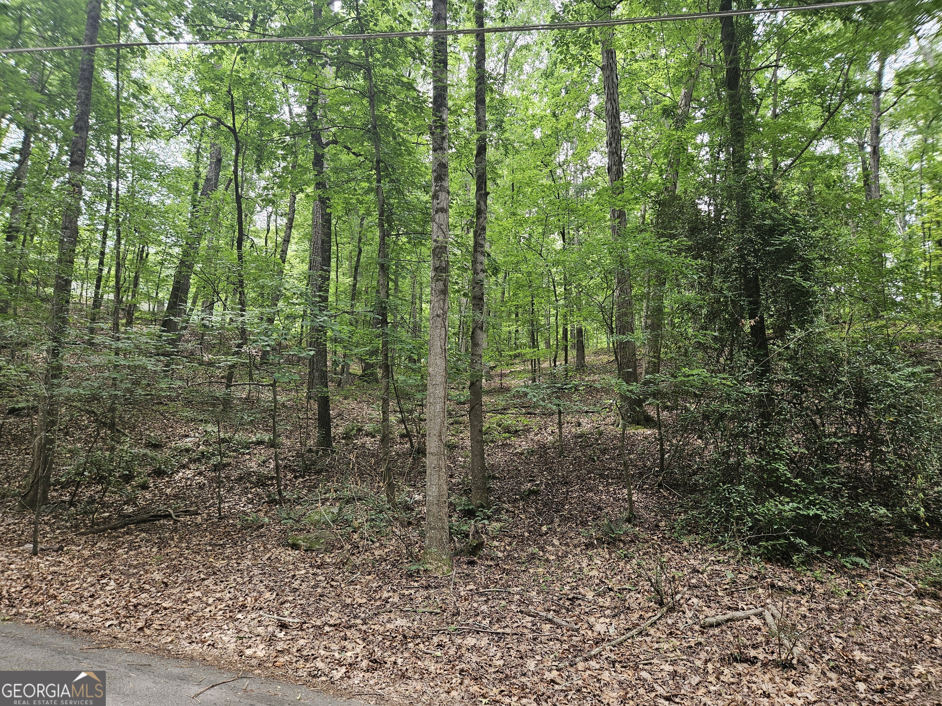 13 Ball Creek Way