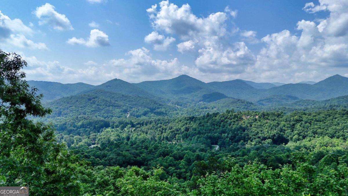 1795 Ivy Mountain Road Property Photo 3