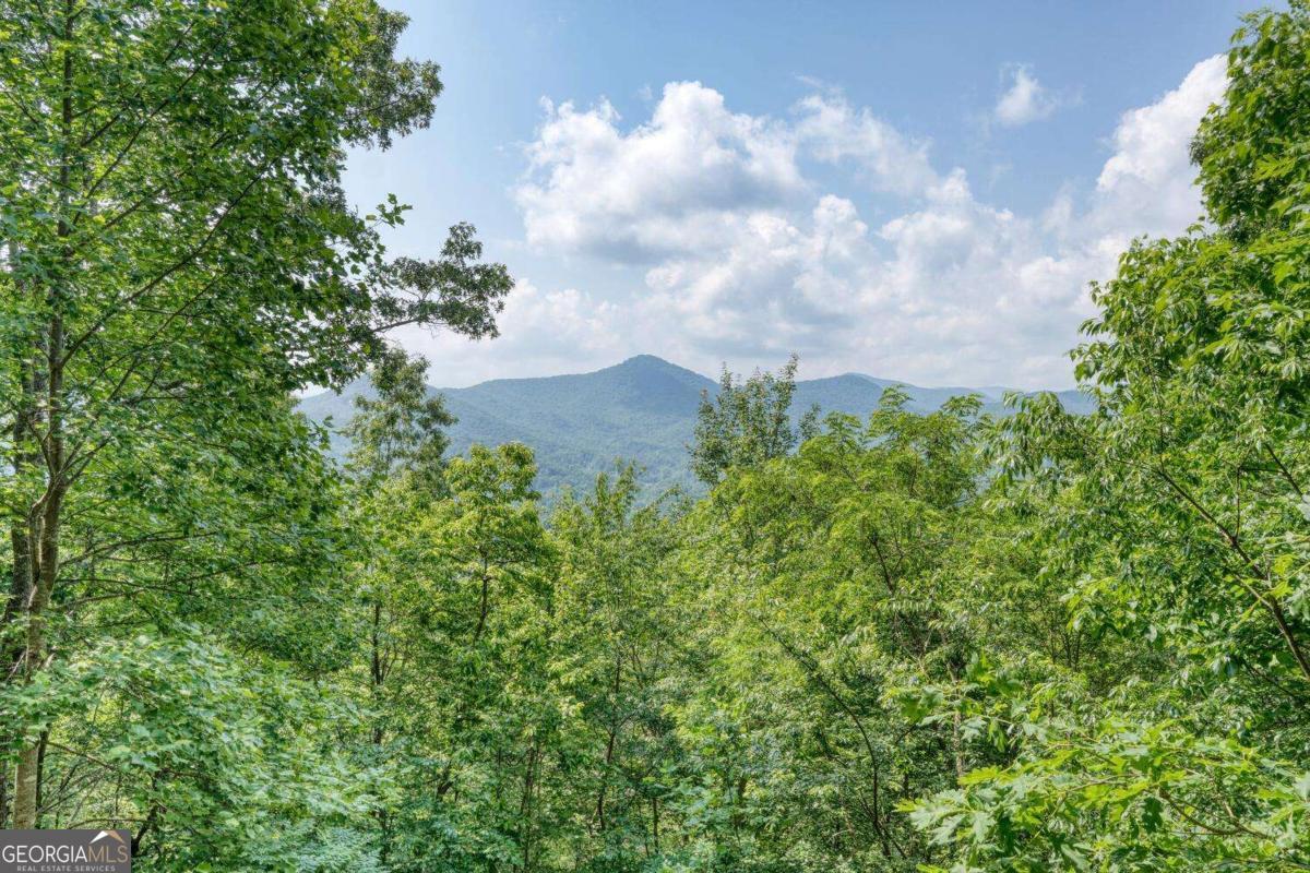 1795 Ivy Mountain Road Property Photo 48