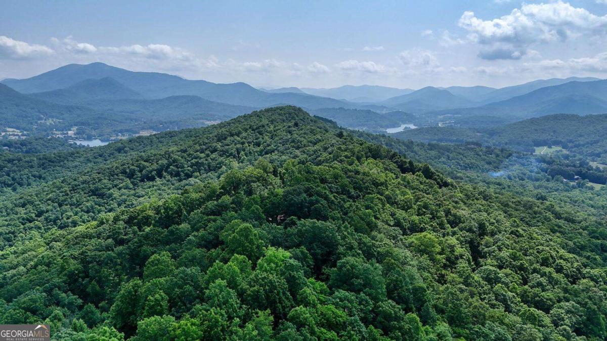 1795 Ivy Mountain Road Property Photo 53
