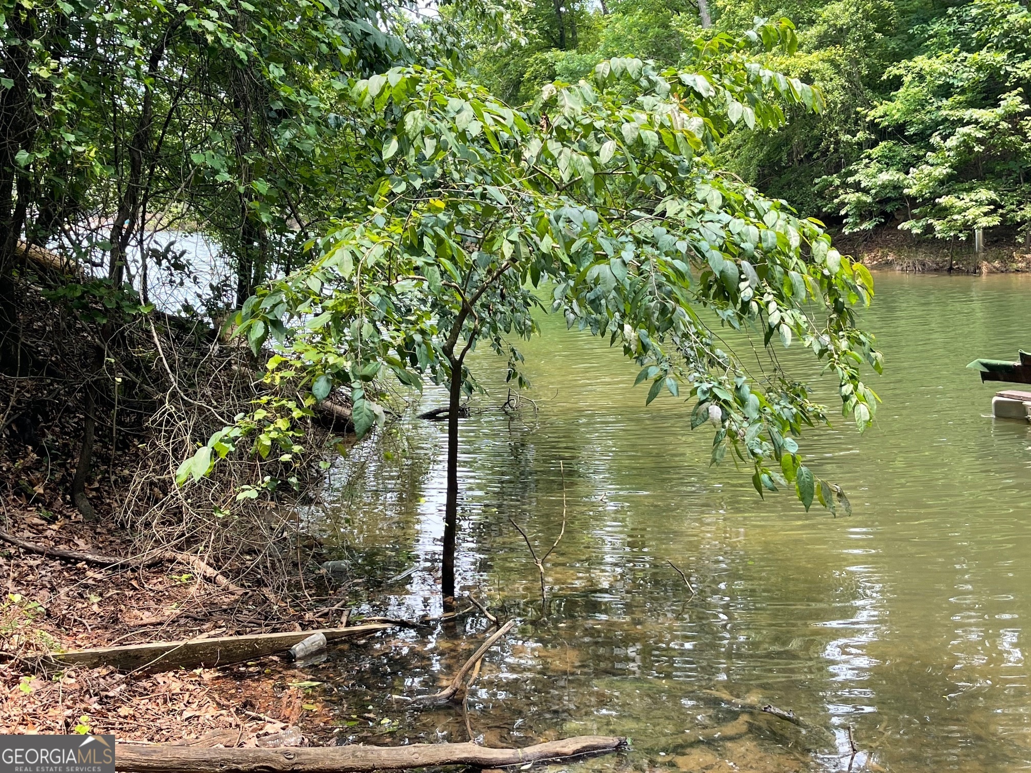 Lot 1682 Point Road Property Photo 1