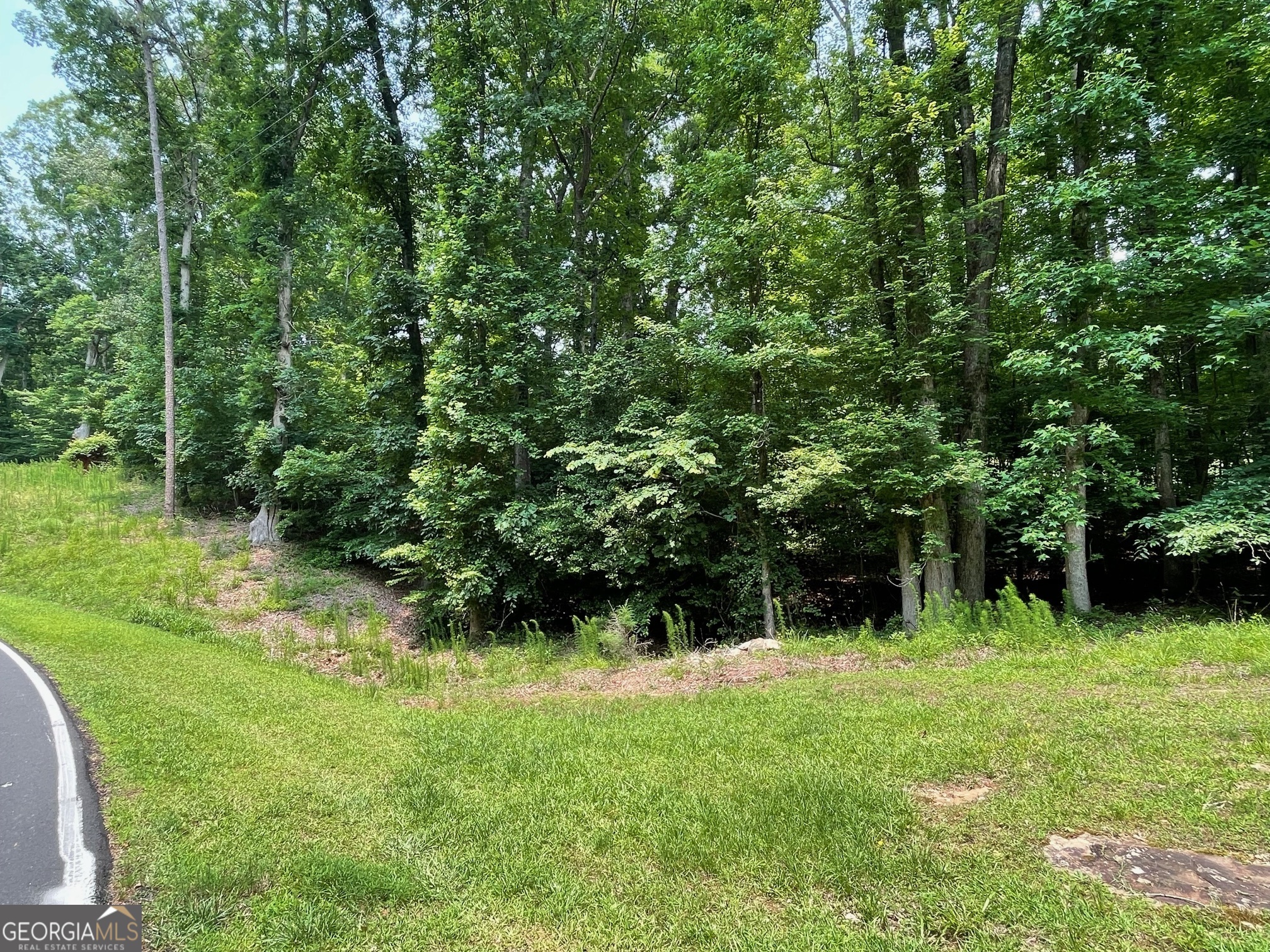 Lot 784 S Hogan Drive Property Photo 1