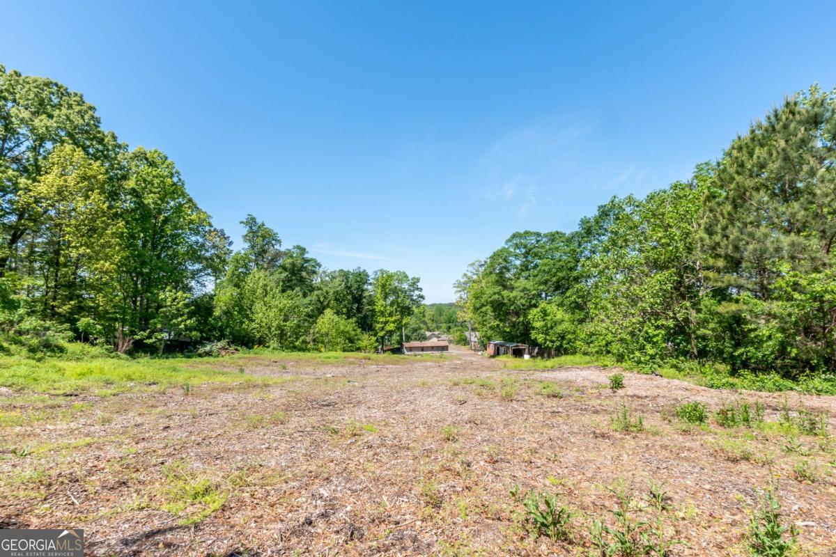 7919 Hickory Flat Highway Property Photo 12