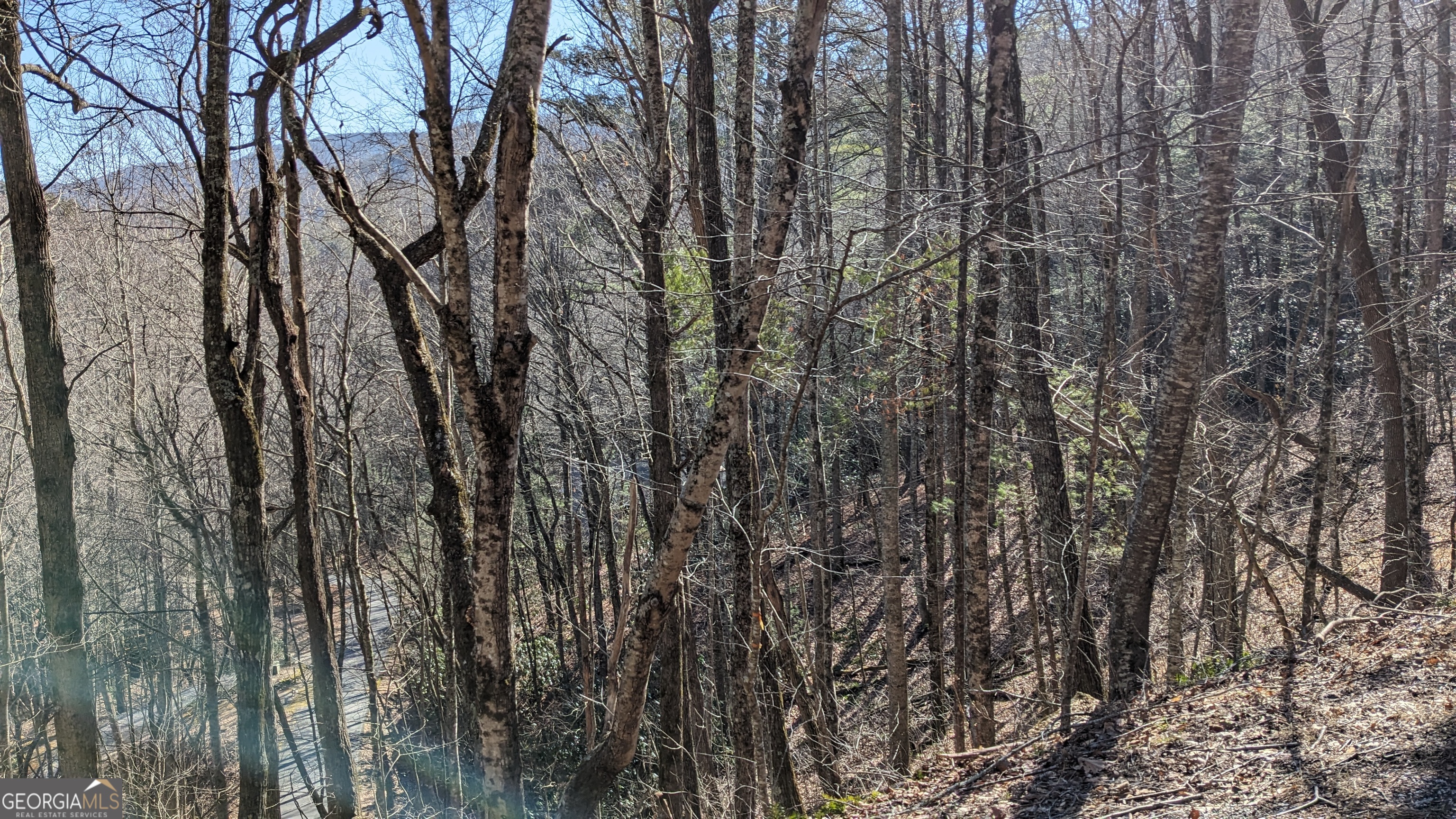 0 Lot 237 Covered Bridge Lane # 237 Property Photo 1