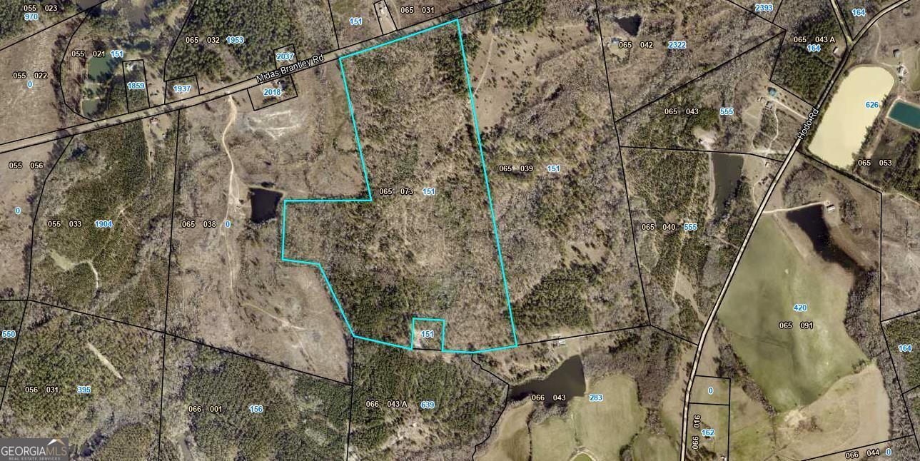 151 Brantley Midas Road Property Photo 1